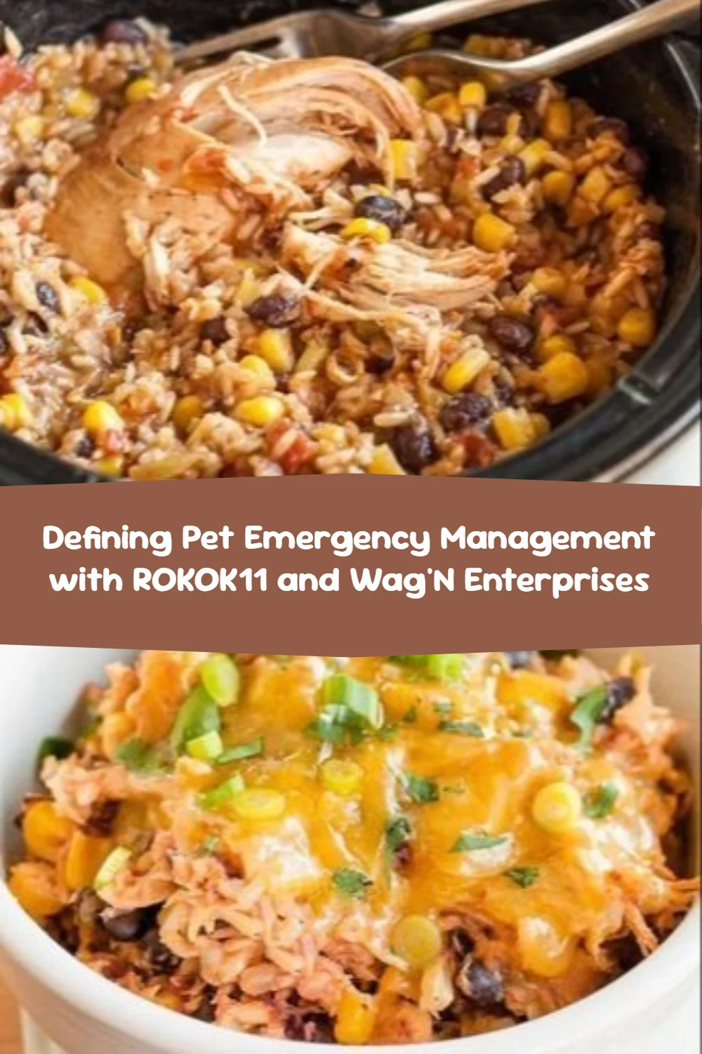 Defining Pet Emergency Management with ROKOK11 and Wag'N Enterprises